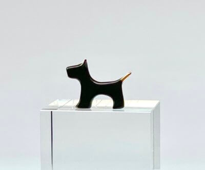 Terrier Dog