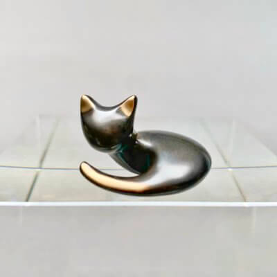 Cat 1
